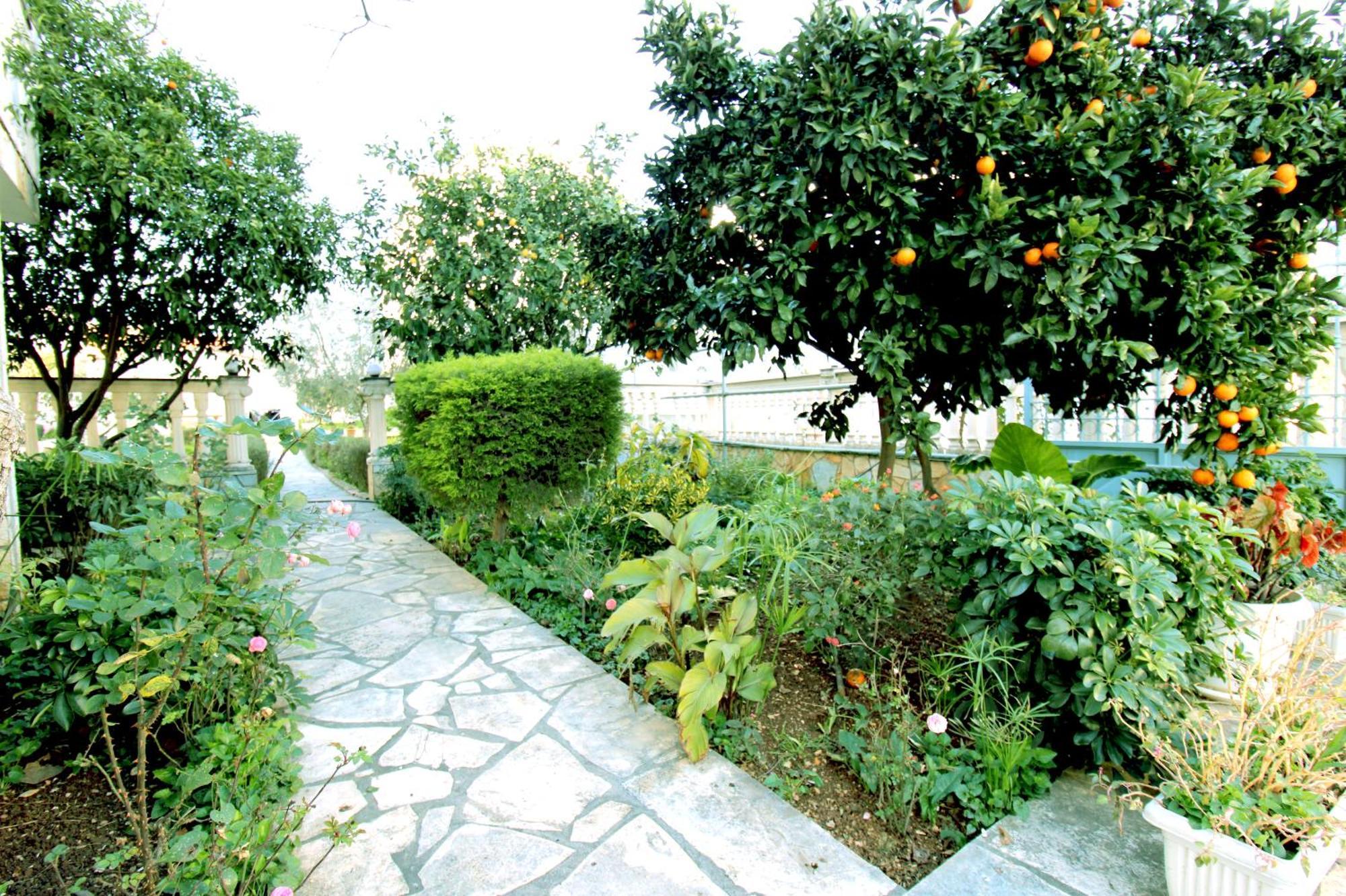 Vila Alesio Ksamil Exterior foto